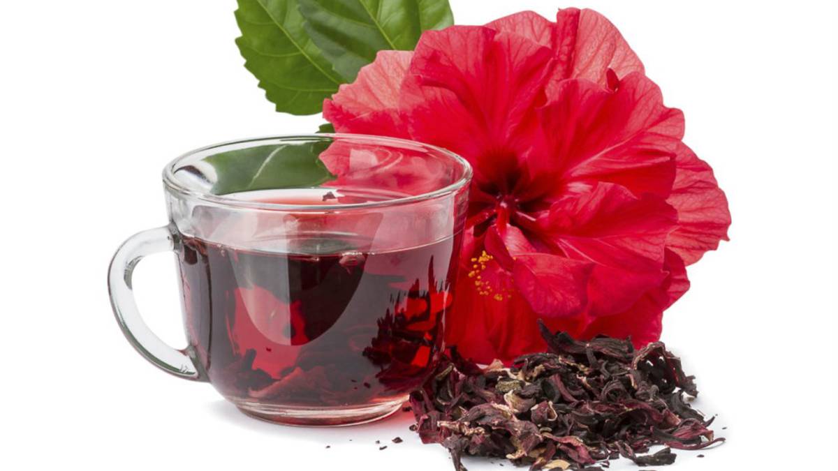 Flor de Hibicus