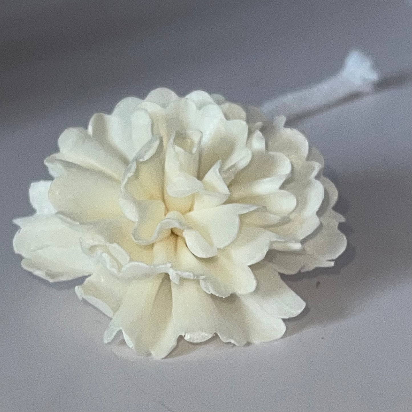 Flores para Difusor
