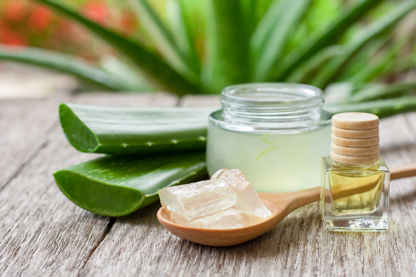 Aceite de Sabila (Aloe Verá)