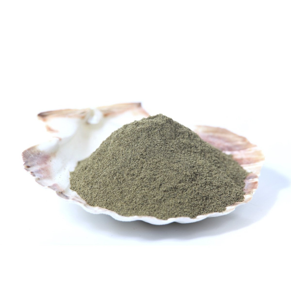 Algas ( Polvo )