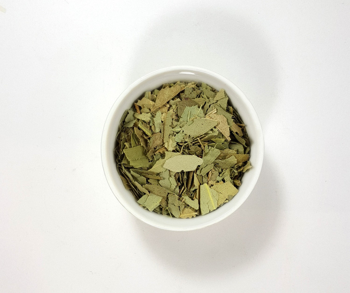 Eucalipto en Hojas (Eucaliptus Botanical )