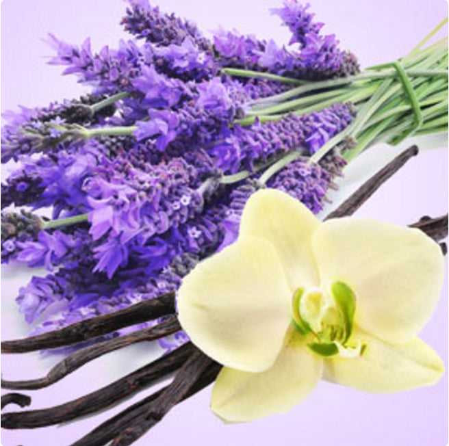 Lavanda Vainilla BS