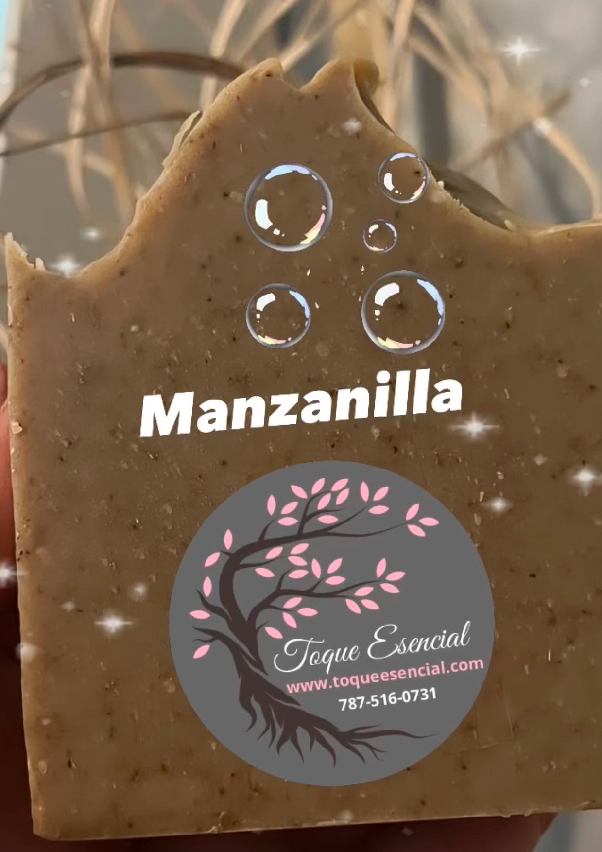 MANZANILLA