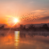 Autumn Eclipse