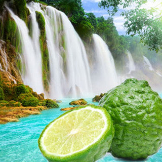 Cool Spring For Men (Inspirada BS)