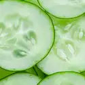 Cucumber Element(CS)