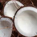 Coconut Element