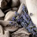 Lavender Driftwood (CS)