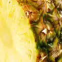 Pineapple Element(CS)
