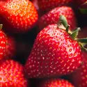 Strawberry Element(CS)