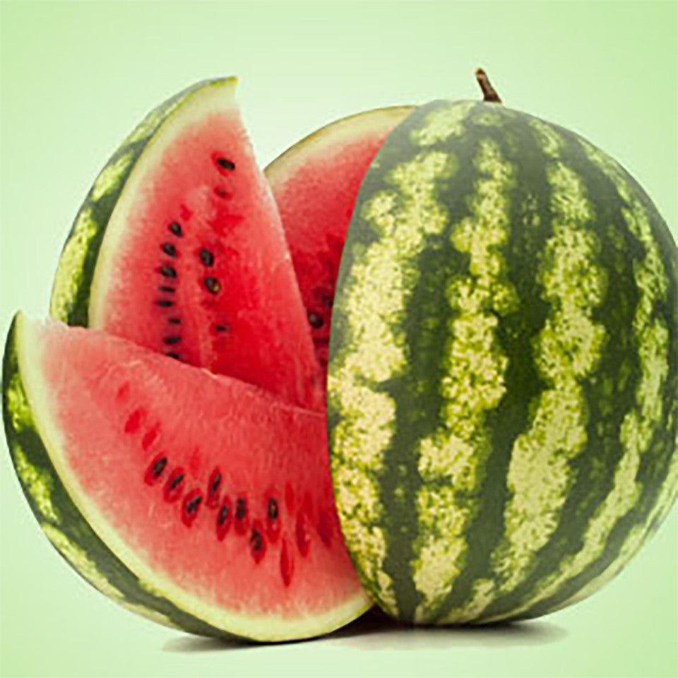 Watermelon (Melon) CS