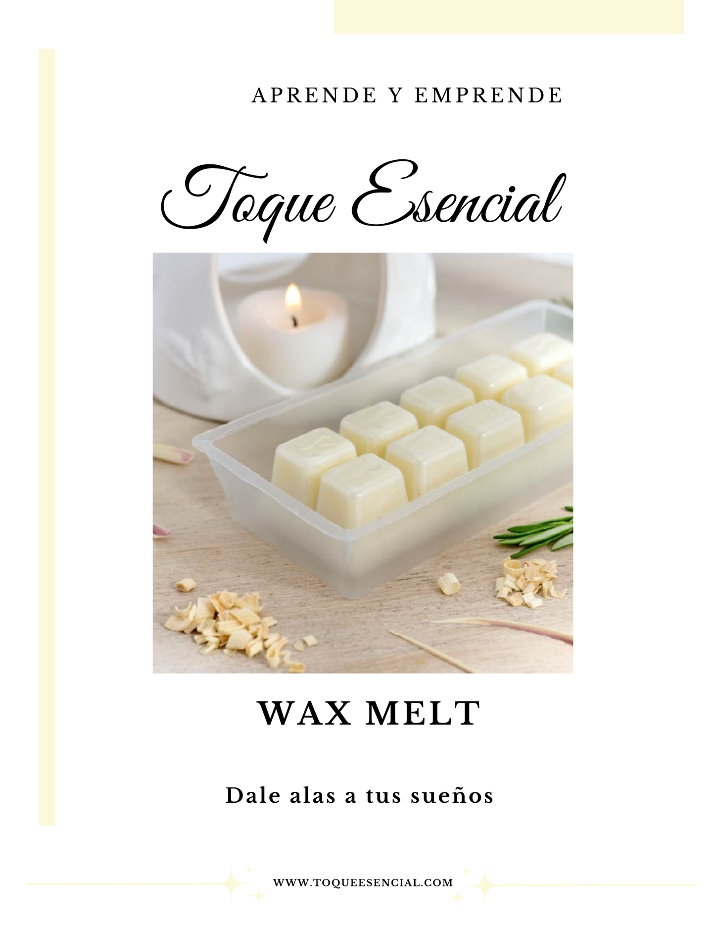 Kit de Wax Melt