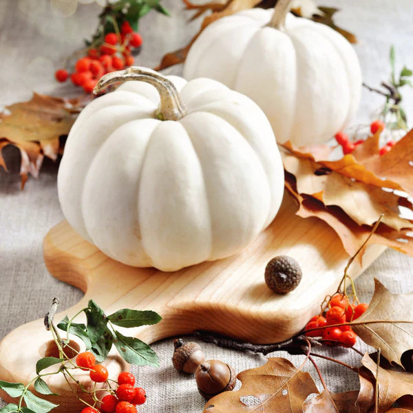 White Pumpkin Amber