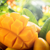 Mango BS